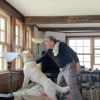 Mandy Patinkin y su perra, una relación llena de empatía …