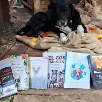 Sorteo solidario y literario para ayudar a los perros y …