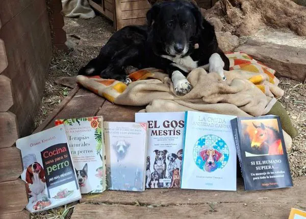 Sorteo solidario y literario para ayudar a los perros y gatos senior de Canópolis en Sant Jordi