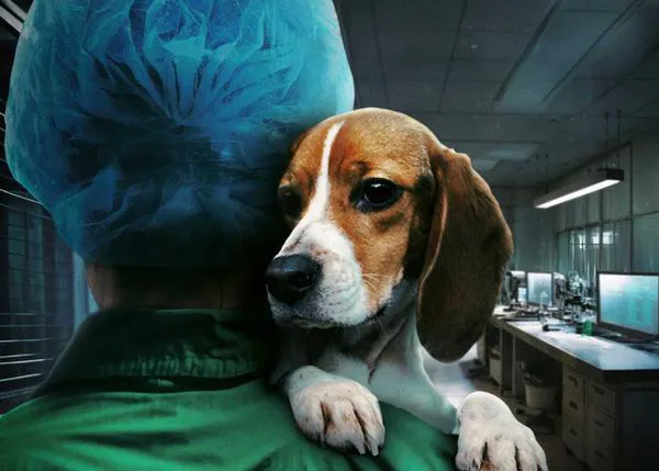 El atroz caso de maltrato animal de Vivotecnia, el laboratorio del infierno de Madrid, llega al cine: 