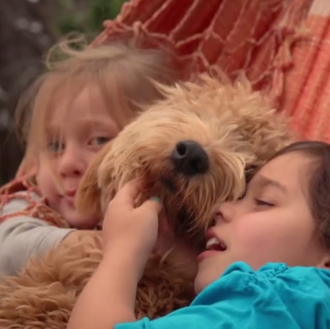 La vida es más feliz con un perro a tu …