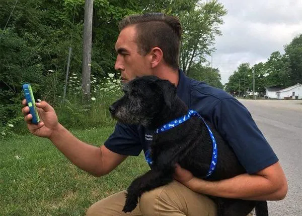Una protectora aprovecha el tirón de Pokémon Go para captar voluntarios que paseen a sus canes