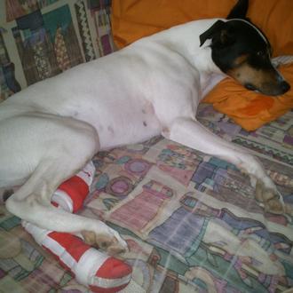 Ojo con las rejillas de ventilación: pueden lastimar seriamente las …