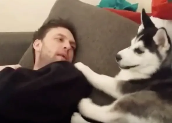 ¡Guau! la animada charla entre un humano y una pequeña Husky... reconvertida en canción solidaria