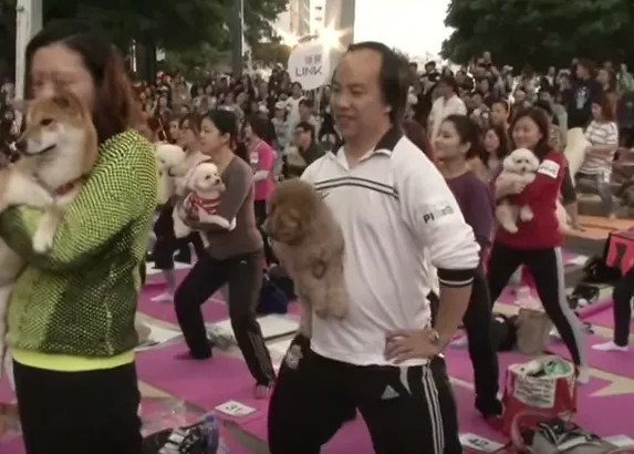 270 perros y sus dueños practican Doga juntos ¡y baten el récord del mundo!