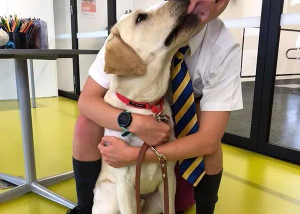 El emocionante momento en el que un joven que está perdiendo la vista conoce a su perro guía