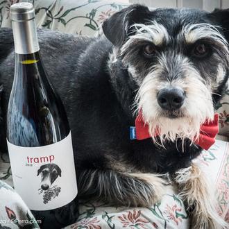 Tramp: el vino fabulosamente perruno de Can Grau Vell 