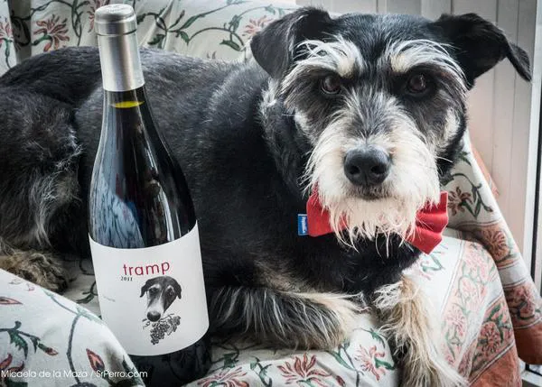 Tramp: el vino fabulosamente perruno de Can Grau Vell 