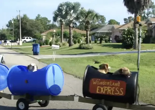 Una pareja construye un trenecito para poder llevar a todos sus perros adoptados de paseo: el Wonderland Express