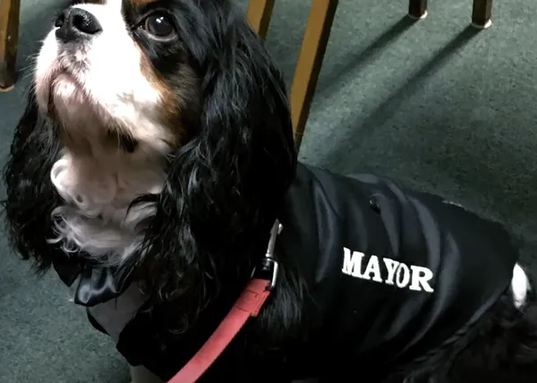 Murfee, el perro alcalde: ya lleva dos mandatos y ha logrado alguna que otra mejora significativa en su comunidad :-)