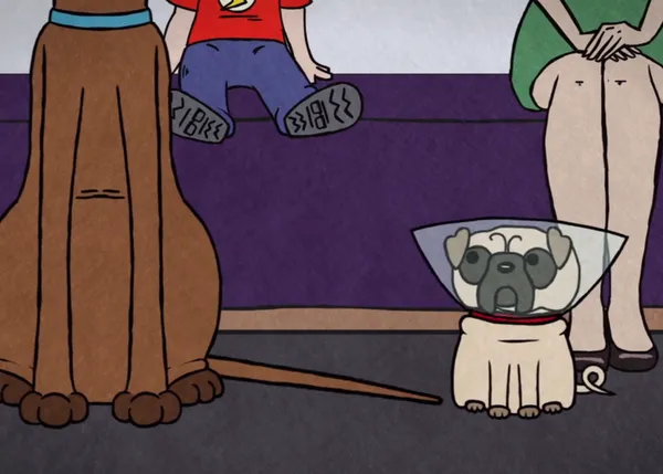 La primera visita a la pelu canina de un perro chiquitín, versión corto de animación