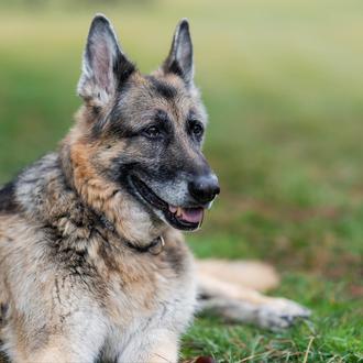 El Presidente de EEUU y su mujer comparten la triste …
