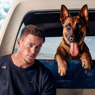 Channing Tatum en DOG, una película extra perruna que promete …