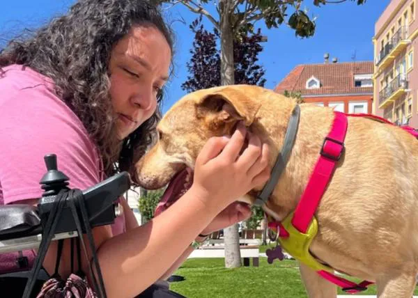 La (preciosa) historia de la adopción de Once, una perra PPP que lleva tres años a la espera de encontrar la mejor familia