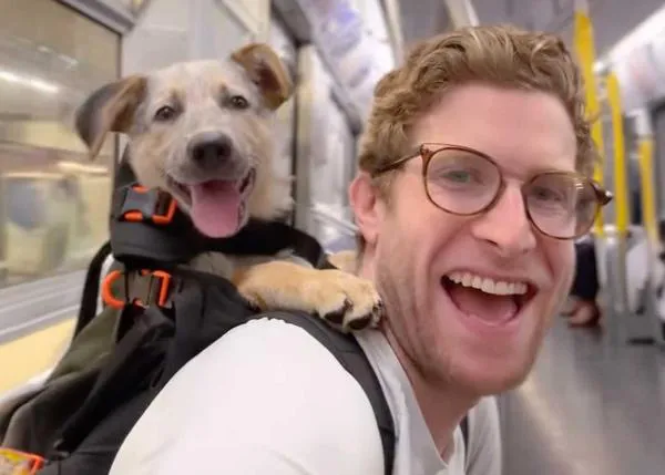 ¿Cómo fomentar adopciones de perros? Llevándolos de paseo en una mochila muy, muy famosa