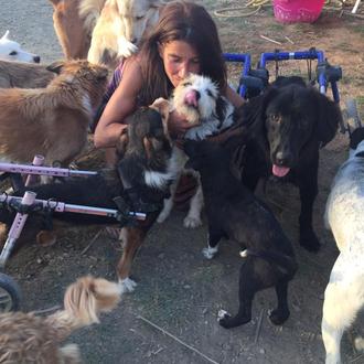 La tabla de salvación para los animales en Tánger: un …