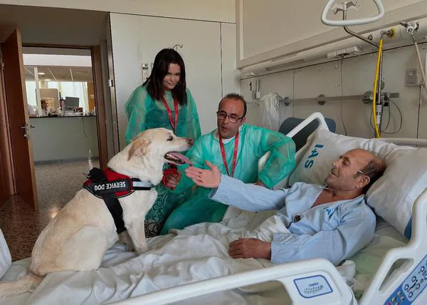 Los pacientes terminales o con pronóstico incierto pueden reunirse con sus perros en el Hospital Santa Caterina