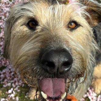 Concentración para protestar por la adjudicación de la gestión del …