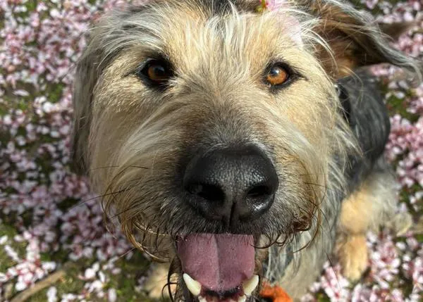 Concentración para protestar por la adjudicación de la gestión del CPA de Torrejón de Ardoz a una empresa privada