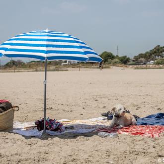 Disfruta de unas vacaciones de playa o campo en Valencia …