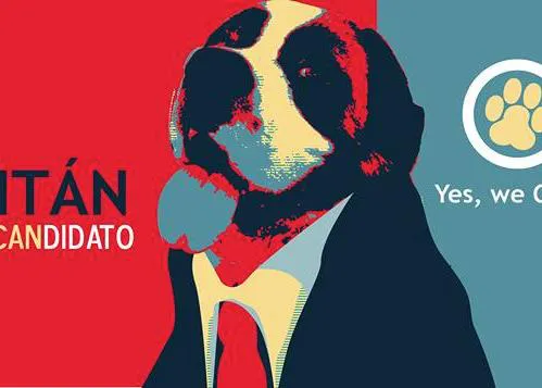 Los animales entran en política: CANdidato Titán