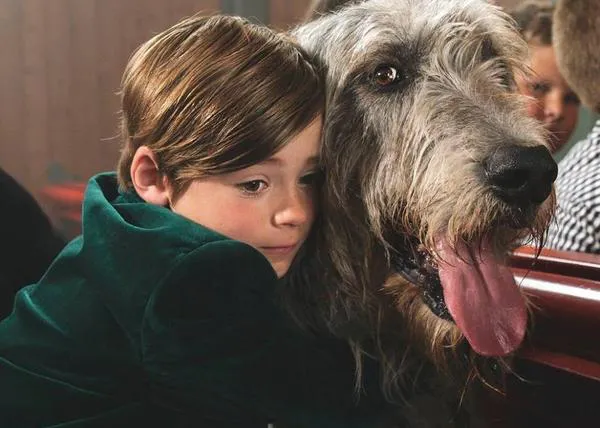San Elliot: un maravilloso cortometraje sobre un niño que quiere que su perro vaya al cielo