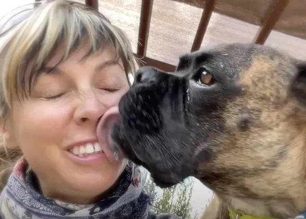 Los lametones felices de Sunday, una perra rescatada casi moribunda que ya está en casa