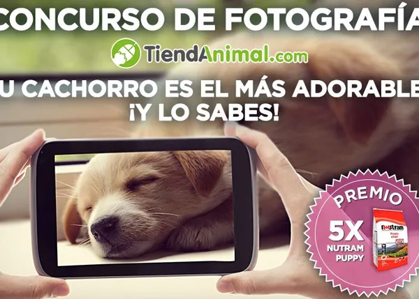 Cachorrotes guapos al poder: participa en el nuevo concurso de Tiendanimal