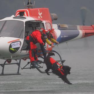 Equipos de 6 patas: los socorristas que trabajan como 