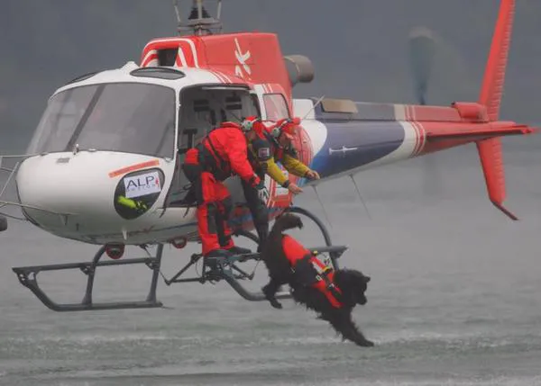 Equipos de 6 patas: los socorristas que trabajan como 