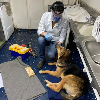 Un barco de la Armada Chilena rescata a un perro …