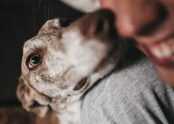 La mirada perra de Mestizaa: el equilibrio perfecto de la fotografía urbana con sensibilidad animal