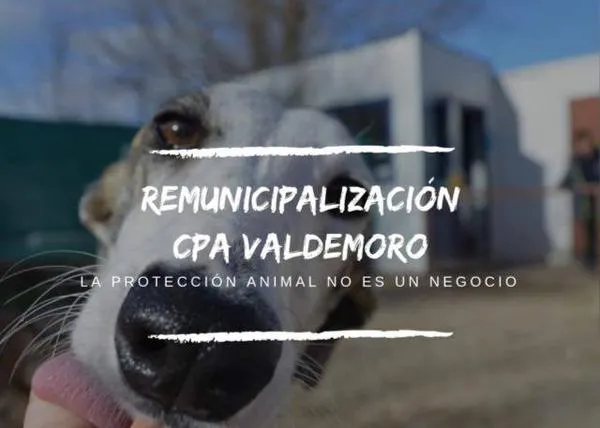 Campaña para reubicar a los animales del CPA de Valdemoro  #AdoptaiBa #DesokupaUnChenil