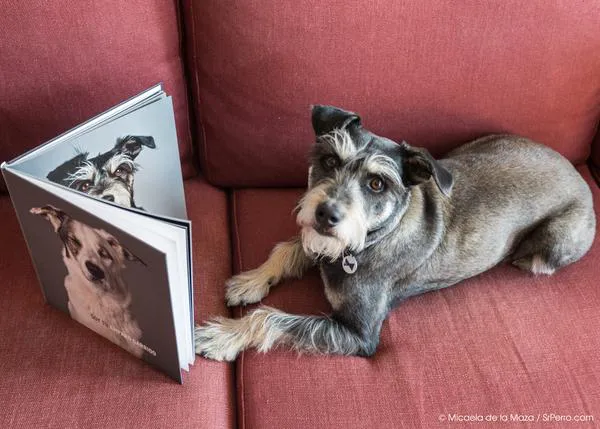 Ideas de regalos para humanos perrunos: 10 libros con toque canino