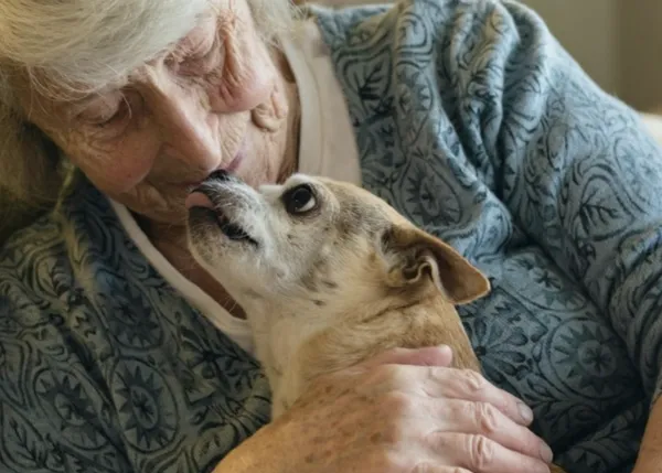 La protectora centrada en ayudar a las personas mayores que no pueden cuidar de sus perros