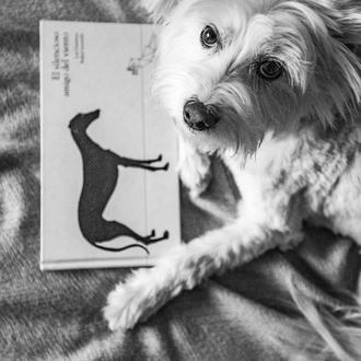 El Silencioso Amigo del Viento, de Lisi Gutiérrez, el primer …