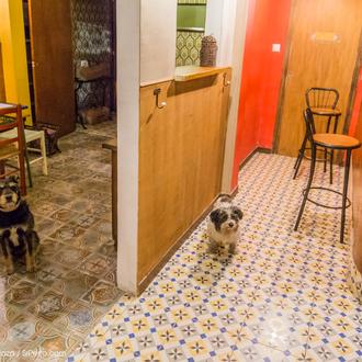 Agenda SrPerro Marzo: exposiciones, ensayos de flashmob, mercadillos y tapas