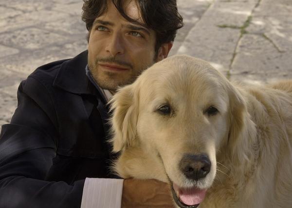 La historia de Italo, el can callejero adoptado por un pueblo de Sicilia, llega a la gran pantalla