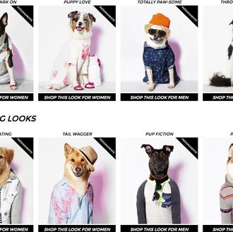 ¿Inocentada o realidad? La gran campaña de marketing perruno de …