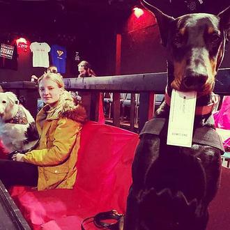 Existe un cine donde son bienvenidos los perros y hay …