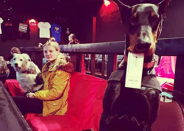 Existe un cine donde son bienvenidos los perros y hay vino o cerveza gratis para sus humanos 