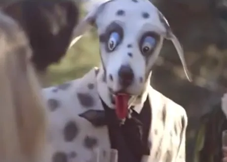 El zorro gana al perro en Youtube: el vídeo más viral de 2013 es 