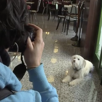 SrPerro en TVE, Tía posa en La Esperanza fomentando el …