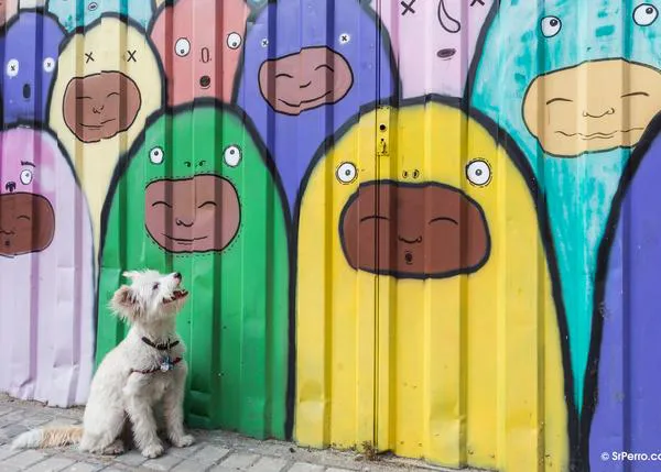 Los perros también intentan comunicarse con los humanos utilizando expresiones faciales
