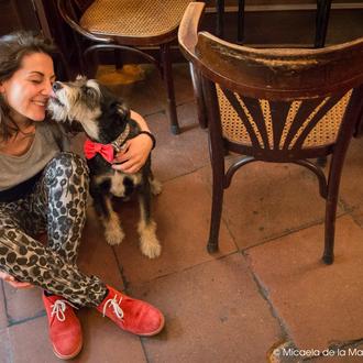 Amores perros ¡con premio! comparte fotos de los besos que …