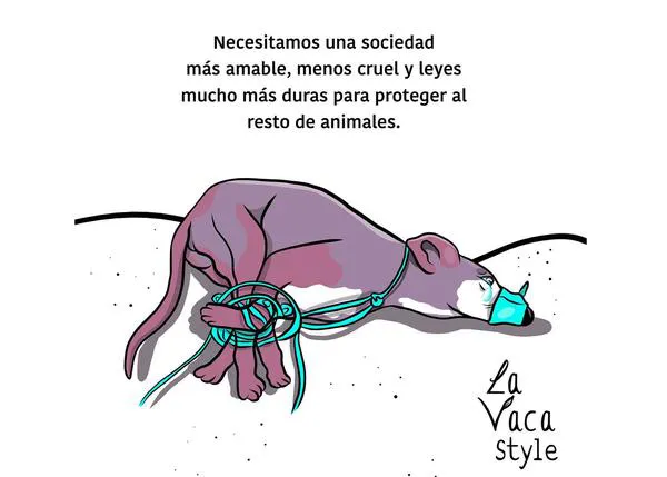 Movilizaciones por Timple, el perro maltratado hasta la muerte en Teguise #JusticiaParaTimple