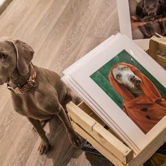 Bruma en Barcelona, ¡no os perdáis la expo de fotos …