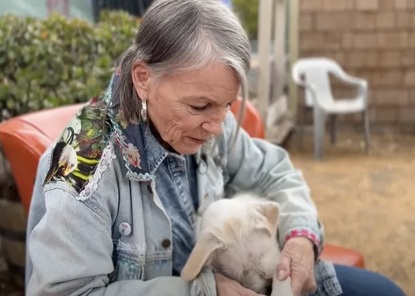 Utilizan el Método Tellington Ttouch para ayudar a calmar a perros en una protectora