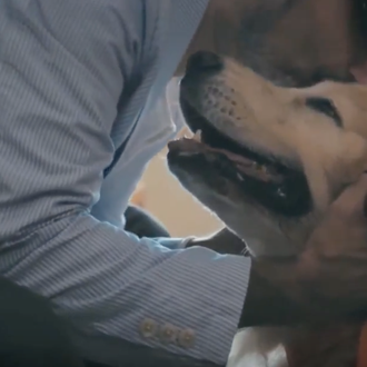 El pintor que se quedó ciego y el perro que …