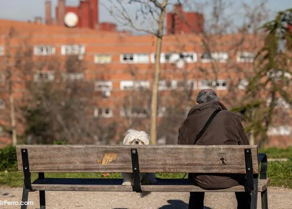 El maltrato animal como pista para detectar casos de violencia familiar